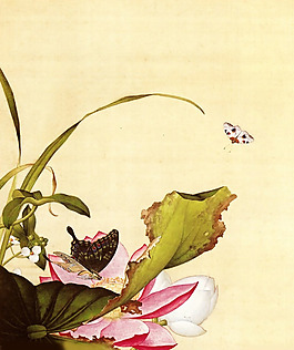 位圖 插畫 時(shí)尚插畫 植物插畫 名家 免費(fèi)素材