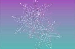 精美矢量花紋105