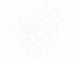 精美矢量花紋100