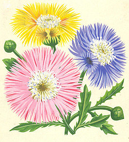 位圖 寫意花卉 植物 花朵 免費(fèi)素材