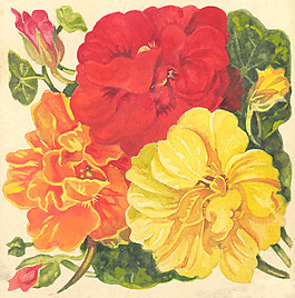 位圖 寫(xiě)意花卉 植物 花朵 免費(fèi)素材
