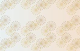 精美矢量花纹062