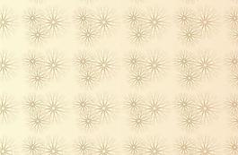 精美矢量花纹059