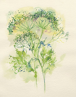 位圖 植物圖案 寫意花卉 花朵 免費(fèi)素材