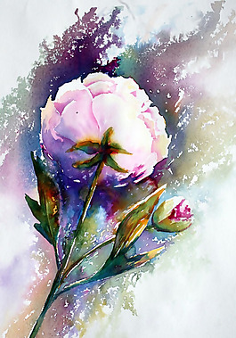 位圖 植物圖案 寫意花卉 花朵 免費(fèi)素材
