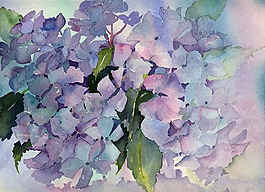 位圖 植物圖案 寫意花卉 花朵 免費(fèi)素材