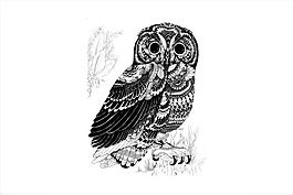 位圖 插畫 時(shí)尚插畫 插畫師 Iain 免費(fèi)素材