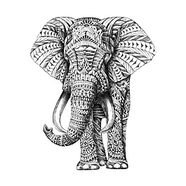 位圖 插畫師 BioWorkz 美國 動物插畫 免費素材