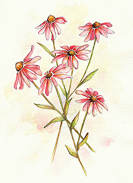 位圖 植物圖案 寫意花卉 花朵 免費素材