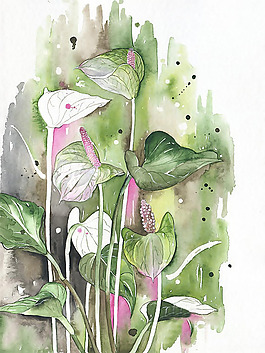 位圖 植物圖案 寫意花卉 花朵 免費(fèi)素材