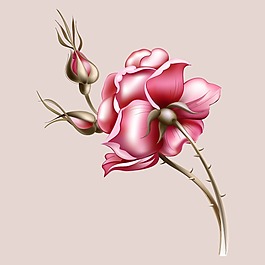 印花矢量圖 T恤圖案 植物 花朵 色彩 免費素材