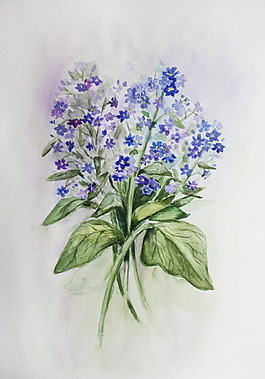位圖 植物圖案 寫意花卉 花朵 免費素材