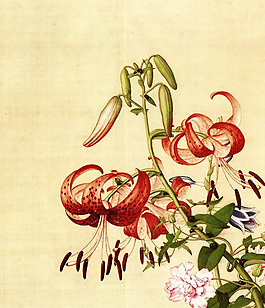 位圖 插畫 植物插畫 藝術(shù)效果 手繪 免費(fèi)素材