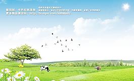 藍天草地
