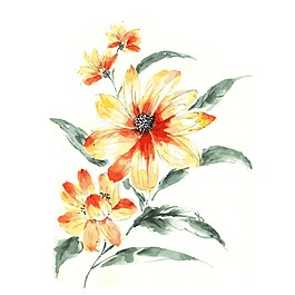 印花矢量圖 T恤圖案 植物 花朵 色彩 免費素材