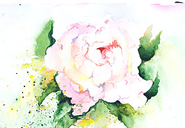 位圖 寫(xiě)意花卉 植物 花朵 免費(fèi)素材