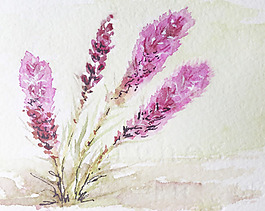 位圖 寫(xiě)意花卉 植物 花朵 免費(fèi)素材