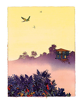 位圖 插畫師 Yan Nascimbene 法國 免費素材