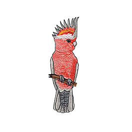 繡花 動(dòng)物 鳥(niǎo) 免費(fèi)素材