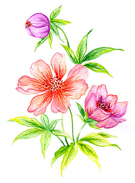 位圖 寫意花卉 植物 花朵 免費(fèi)素材