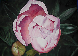 位圖 植物圖案 寫意花卉 花朵 免費(fèi)素材