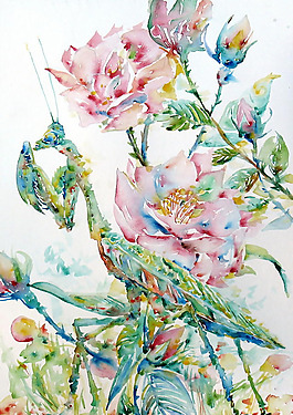 位圖 寫意花卉 植物 花朵 免費(fèi)素材