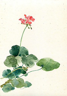 位圖 寫意花卉 藝術(shù)效果 手繪 免費(fèi)素材
