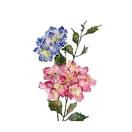 位圖 寫意花卉 藝術(shù)效果 手繪 免費素材