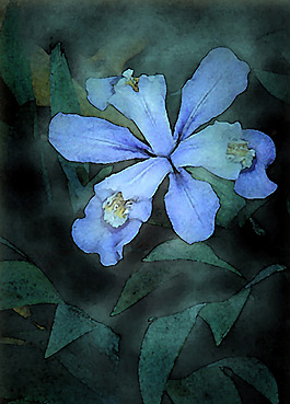 位圖 寫(xiě)意花卉 植物 花朵 免費(fèi)素材