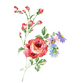位圖 PSD 寫意花卉 高清 免費素材