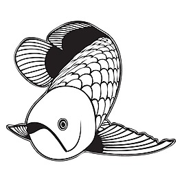 印花矢量圖 T恤圖案 動物 魚 色彩 免費素材
