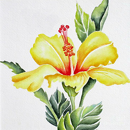 位圖 寫意花卉 藝術(shù)效果 手繪 免費素材