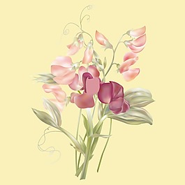 印花矢量圖 T恤圖案 植物 花朵 色彩 免費(fèi)素材
