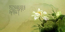 婚紗攝影模板
