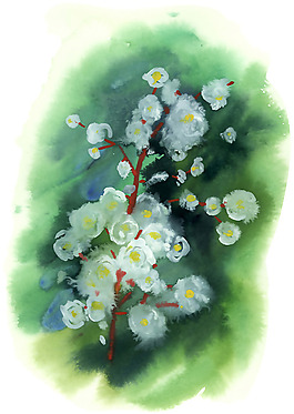 位圖 植物 寫意花卉 花朵 免費素材