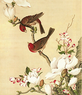 位圖 插畫 時(shí)尚插畫 植物插畫 名家 免費(fèi)素材