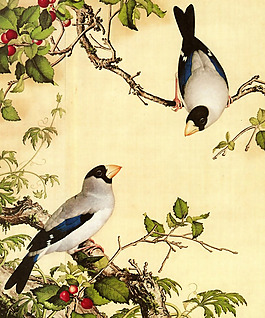 位圖 插畫 時(shí)尚插畫 植物插畫 名家 免費(fèi)素材