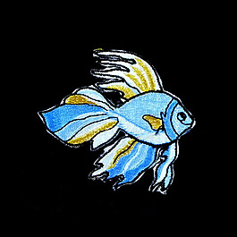 貼布 動物 魚 免費(fèi)素材