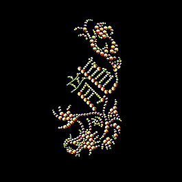燙鉆 花紋 植物花紋 文字 中文 免費(fèi)素材