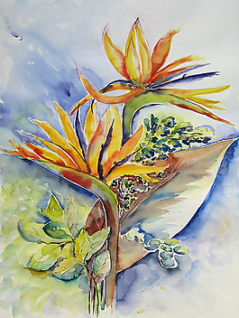 位圖 植物 寫意花卉 花朵 免費素材