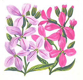 位圖 寫(xiě)意花卉 植物 花朵 免費(fèi)素材