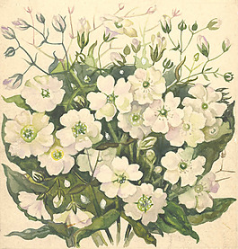 位圖 寫(xiě)意花卉 植物 花朵 免費(fèi)素材
