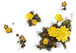 位圖 PSD 植物 寫意花卉 花朵 免費(fèi)素材