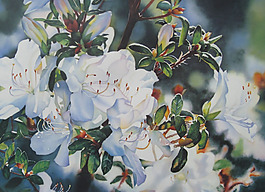 位圖 植物 寫意花卉 花朵 免費(fèi)素材