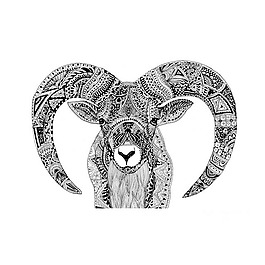 位圖 插畫 時尚插畫 動物插畫 藝術(shù)效果 免費素材