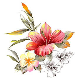 位圖 PSD 寫意花卉 高清 免費(fèi)素材