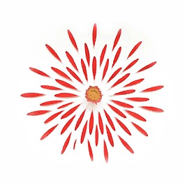 印花矢量图 T恤图案 植物 花朵 拼接 免费素材