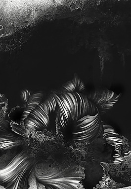 位圖 插畫(huà) 時(shí)尚插畫(huà) 植物插畫(huà) 插畫(huà)師 免費(fèi)素材