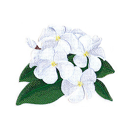 繡花 植物 花朵 免費(fèi)素材