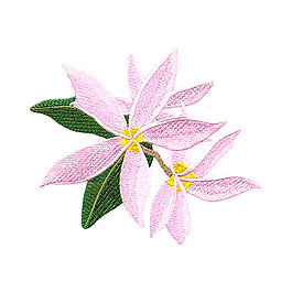 繡花 植物 花朵 免費素材